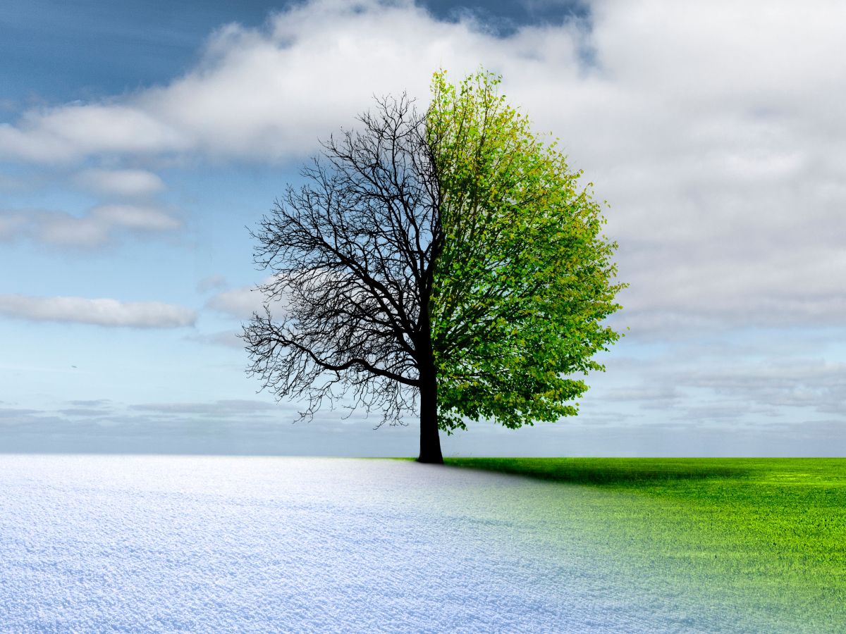 March: The In-Between Month for Your HVAC&nbsp;System