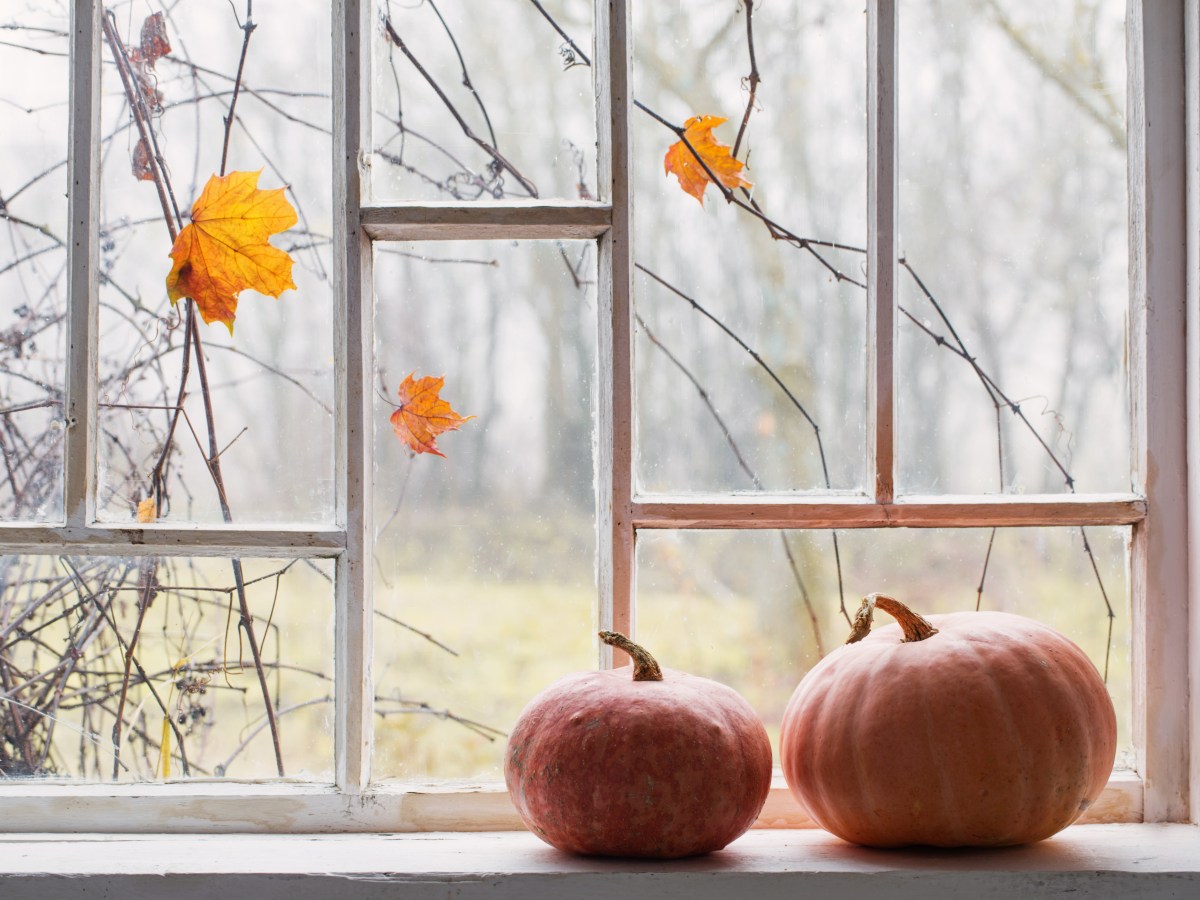 Fresh Filters for Changing Seasons and Smoky&nbsp;Skies